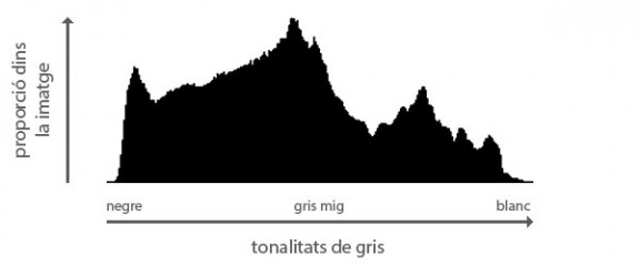 Histograma de Lluminositat