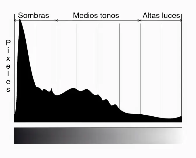 Exposició a l'Esquerra (ETTL)